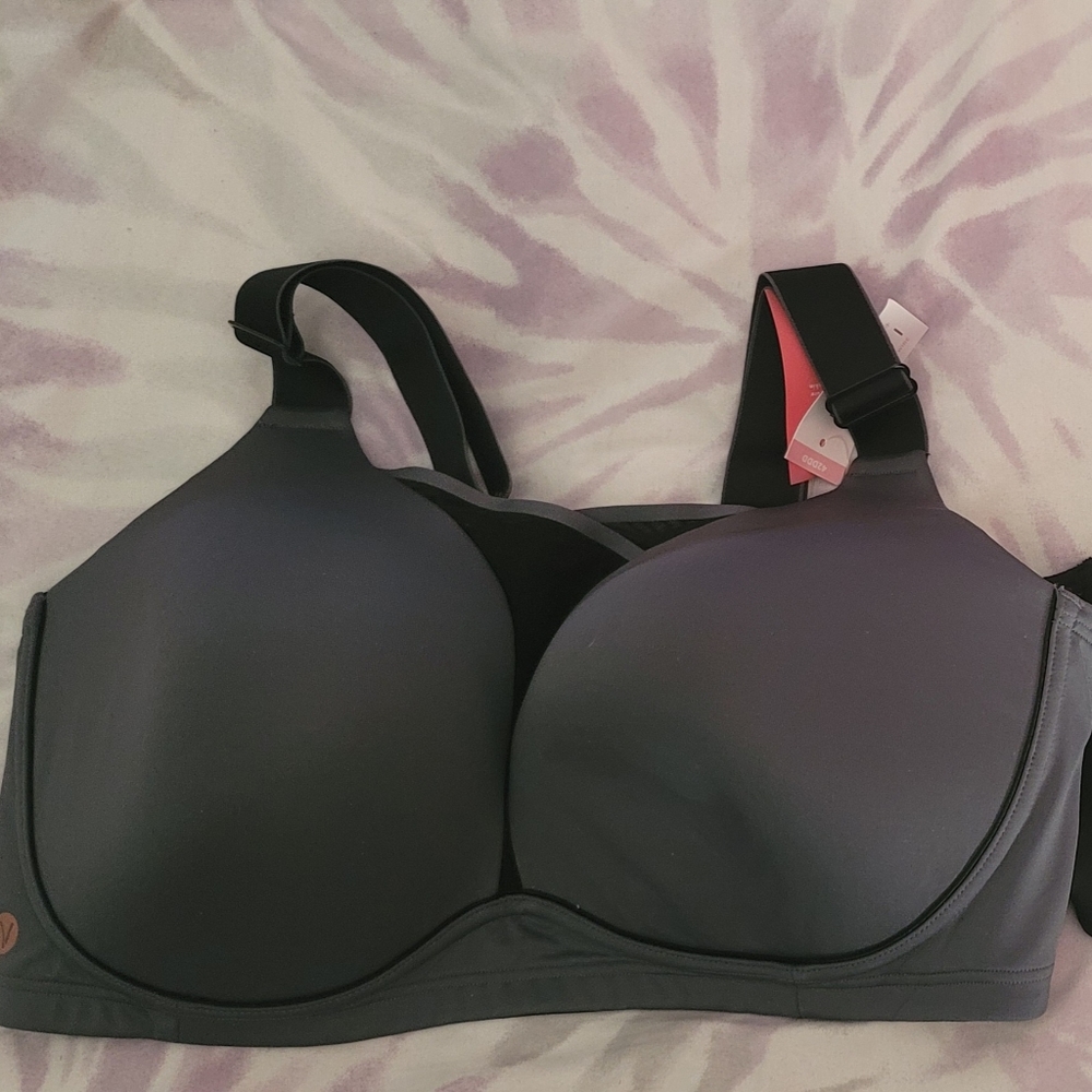 Cacique sports bra